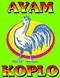 Ayam koplo Logo